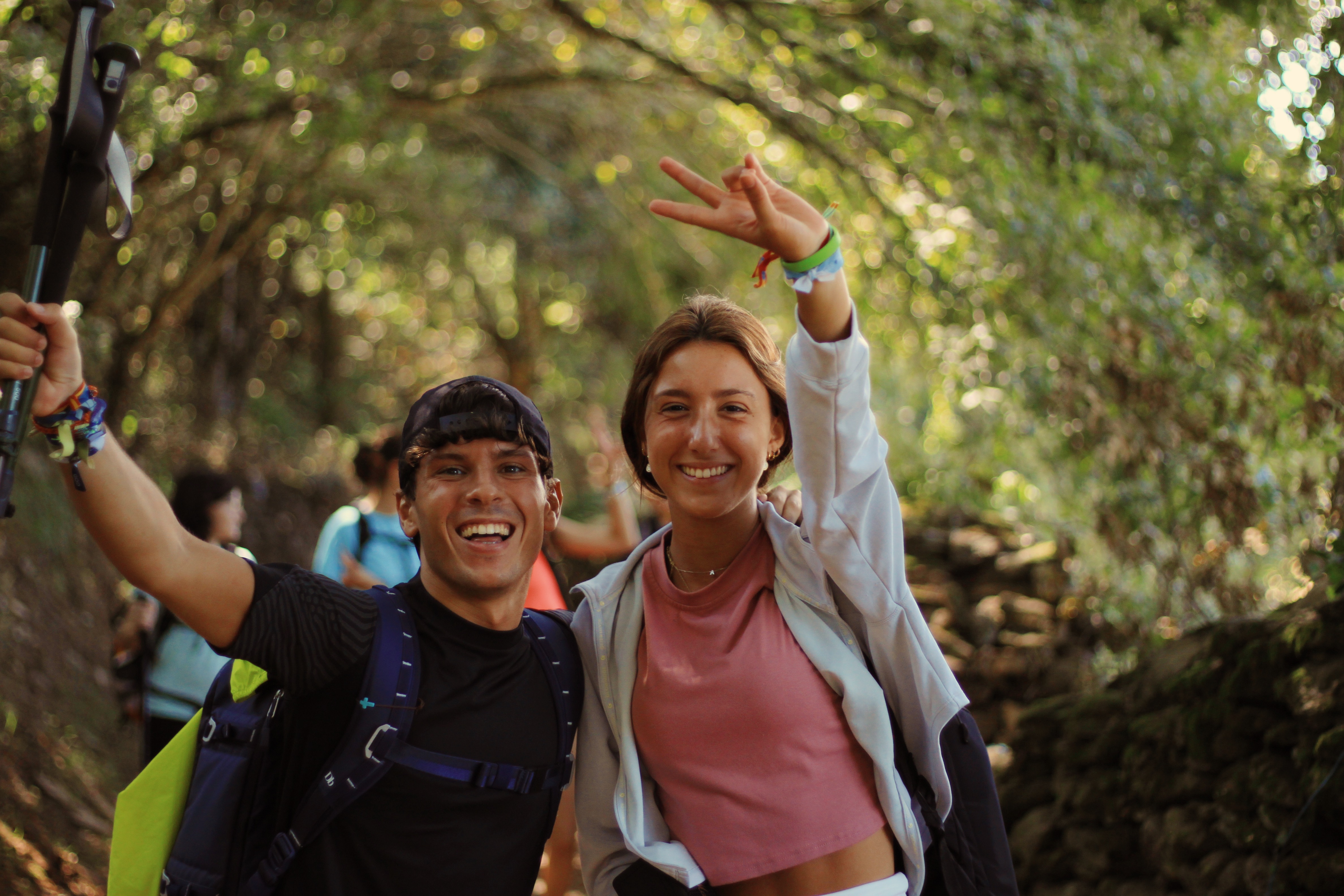 compañeros inseparables del camino de santiago